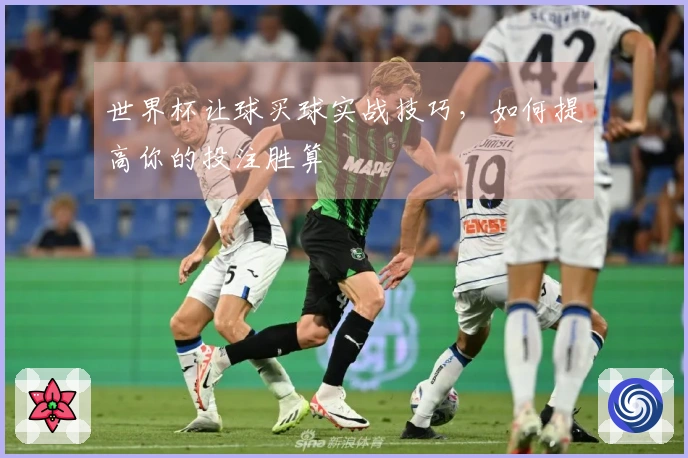 世界杯让球买球实战技巧，如何提高你的投注胜算
