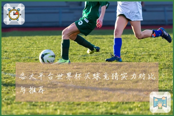 各大平台世界杯买球竞猜实力对比与推荐