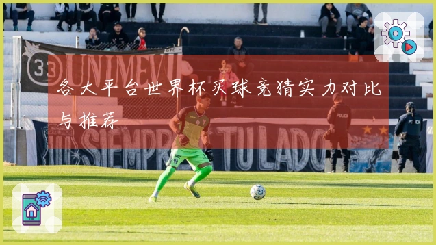 各大平台世界杯买球竞猜实力对比与推荐