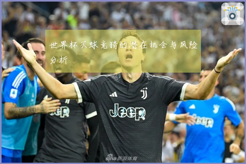 世界杯买球竞猜的潜在机会与风险分析