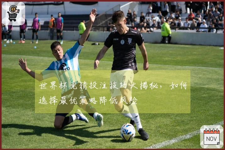 世界杯竞猜投注技巧大揭秘，如何选择最优策略降低风险