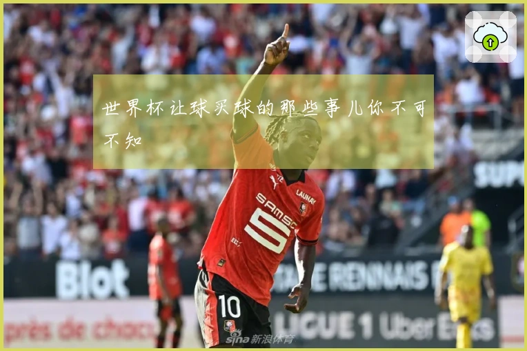 世界杯让球买球的那些事儿你不可不知