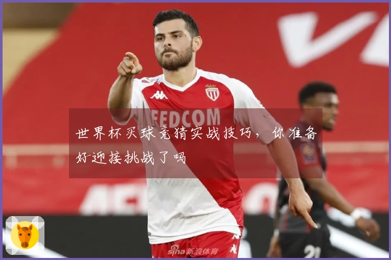 世界杯买球竞猜实战技巧，你准备好迎接挑战了吗