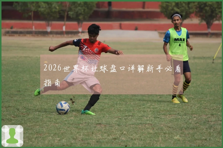 2026世界杯让球盘口详解新手必看指南