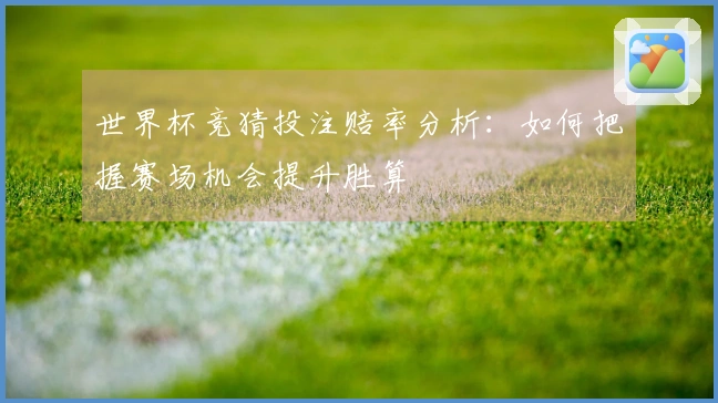 世界杯竞猜投注赔率分析：如何把握赛场机会提升胜算