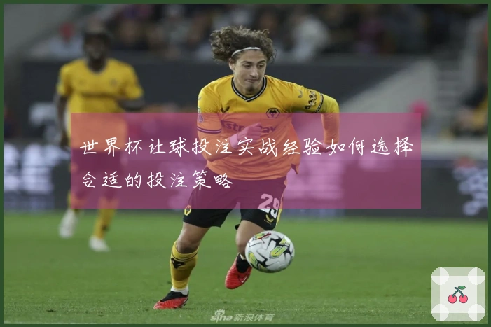 世界杯让球投注实战经验如何选择合适的投注策略
