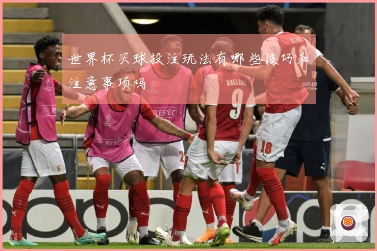 世界杯买球投注玩法有哪些技巧和注意事项吗
