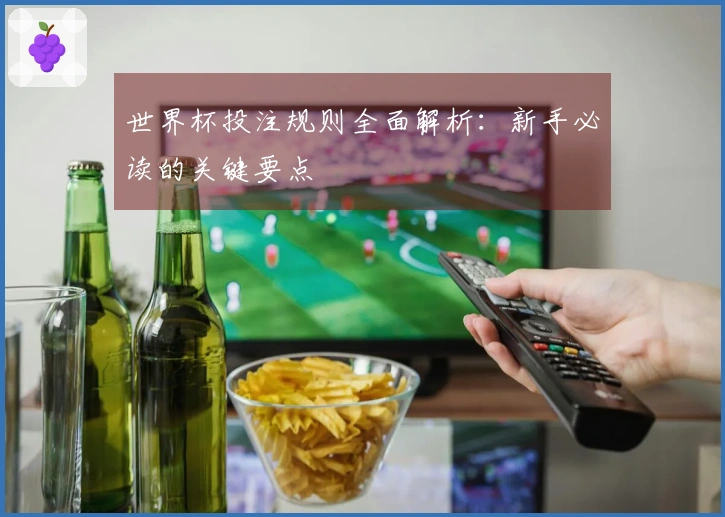 世界杯投注规则全面解析：新手必读的关键要点