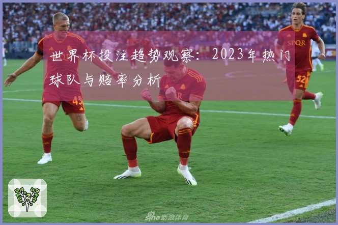 世界杯投注趋势观察：2023年热门球队与赔率分析