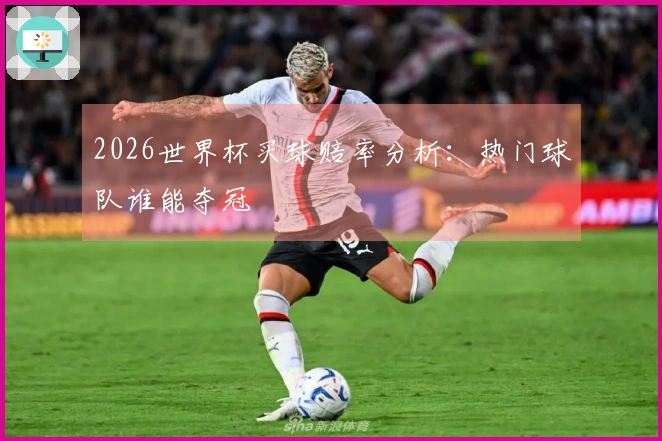 2026世界杯买球赔率分析：热门球队谁能夺冠