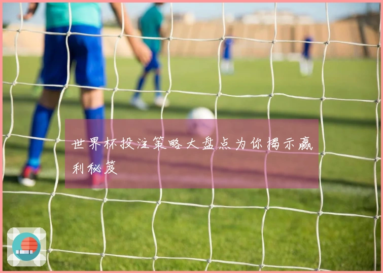 世界杯投注策略大盘点为你揭示赢利秘笈
