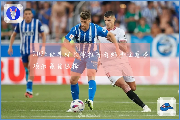 2026世界杯买球推荐有哪些注意事项和最佳选择