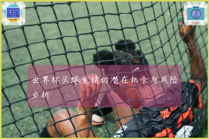 世界杯买球竞猜的潜在机会与风险分析