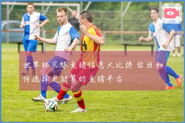 世界杯买球竞猜信息大比拼 你该如何选择更划算的竞猜平台