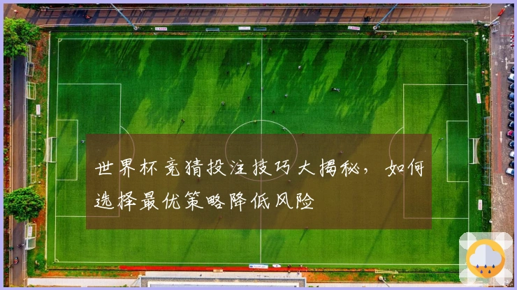 世界杯竞猜投注技巧大揭秘,如何选择最优策略降低风险