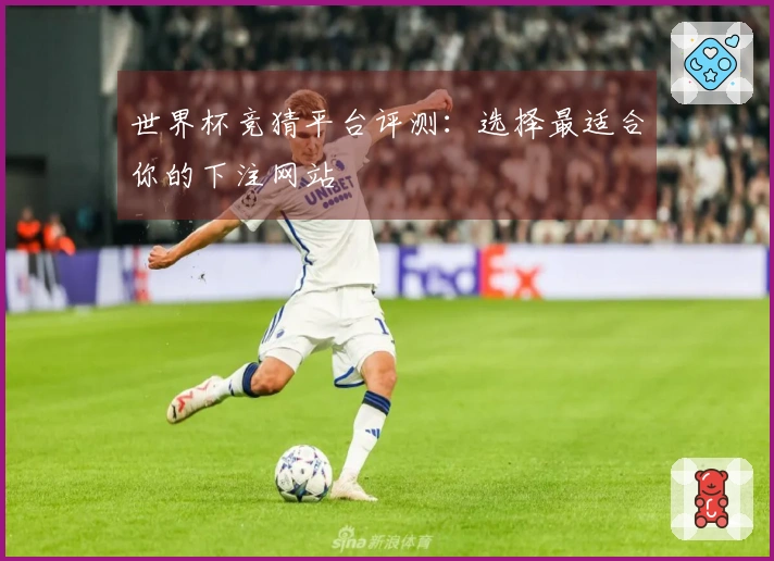 世界杯竞猜平台评测：选择最适合你的下注网站