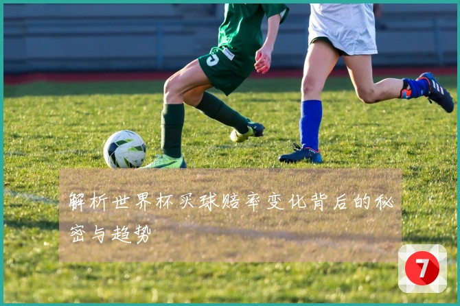 解析世界杯买球赔率变化背后的秘密与趋势