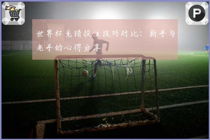 世界杯竞猜投注技巧对比：新手与老手的心得分享