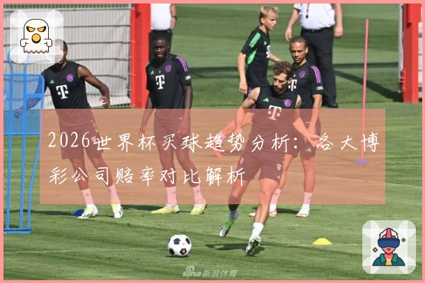 2026世界杯买球趋势分析：各大博彩公司赔率对比解析
